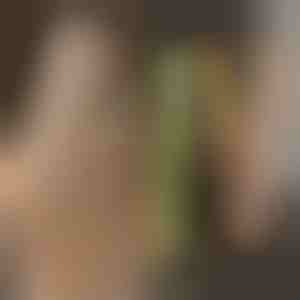 Prostownica i Lokówka w jednym TWISTLINE