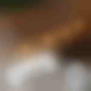 20x samoprzylepnych klipsów do montażu światełek | CORDCLIP