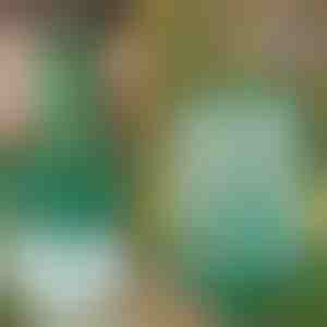 Wisząca Pułapka na Muchy i Owady Wielokrotnego Użytku | INSECTA