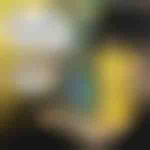 Tacka samochodowa dla dzieci | MUNCHI