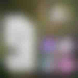 Przenośny mikroskop dla dzieci | MINISCOPE