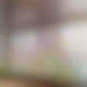 Kolorowa naklejka na okno w kwiaty | FLORASTIK