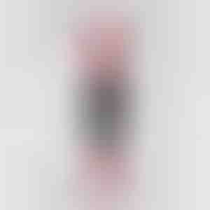 Wielokrotnego użytku ściereczka z mikrofibry premium | WIPLY