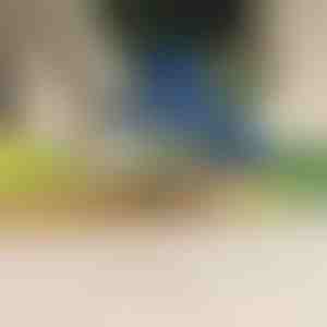 Elektryczna obieraczka do owoców i warzyw | PEELMATIC